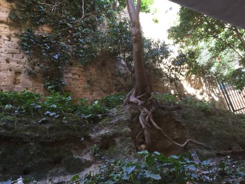 Фото 
Grand Hotel Villa Igiea Palermo - MGallery by Sofitel
