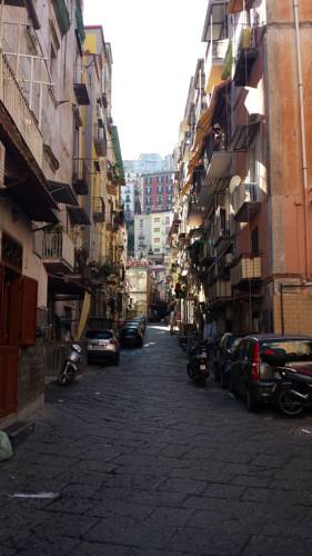 Фото 
I Fiori di Olga
