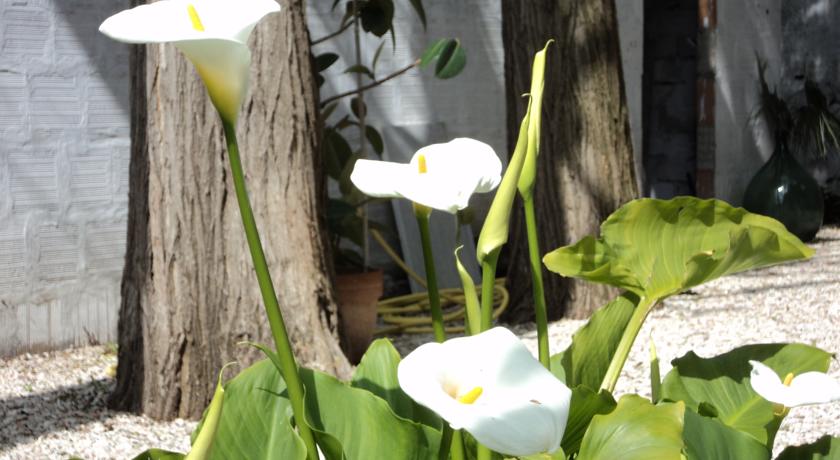 Фото 
Residenza Le Batesine
