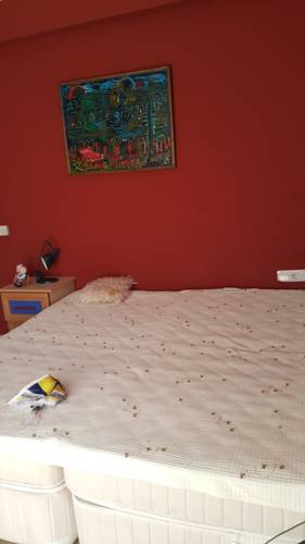 Karadag Tatil Evi