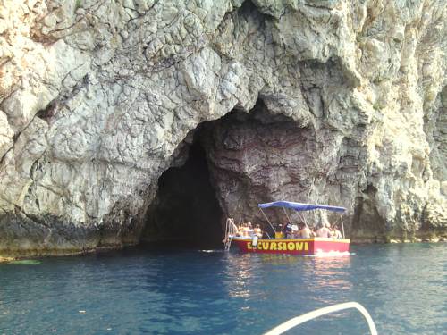 Фото 
Giotto Airport
