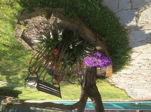 Фото 
Al Basilisco
