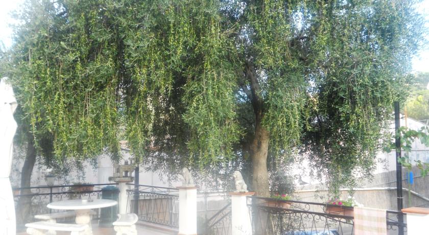 Фото 
Il Piccolo Principe
