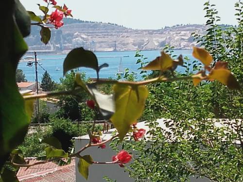 Фото 
Chocolate Apartments
