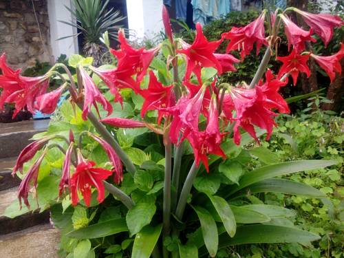 Фото 
Sea View Apartment
