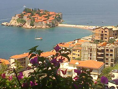 Фото 
Hotel Holiday
