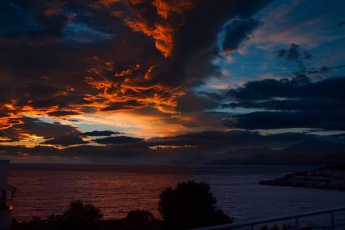 Фото 
Art Apartments Minic
