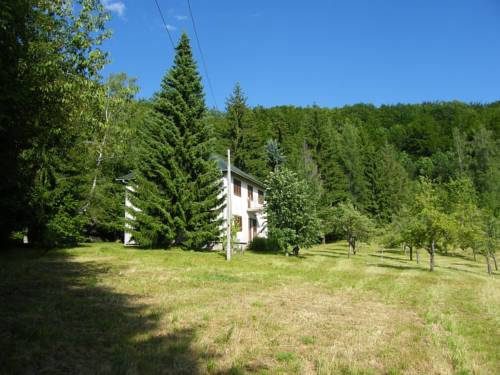 
Lodge Cerovic
