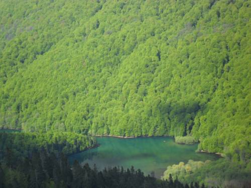 
Guesthouse Zvono
