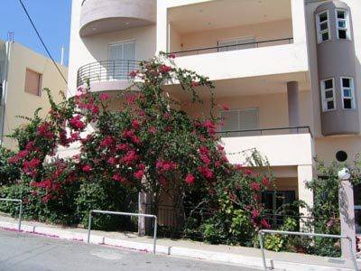 
Panorama Studios
