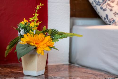 Фото 
Apartment City Center
