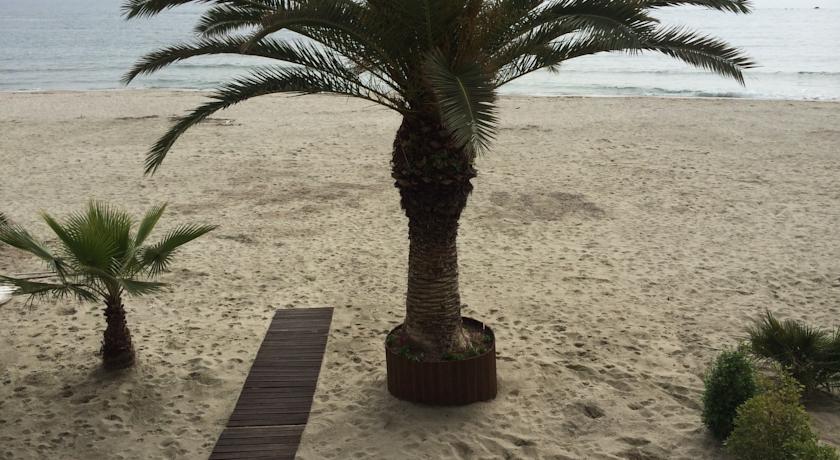 Фото 
Ikaros Apartments
