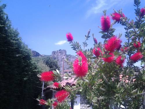 Фото 
Hotel Marion
