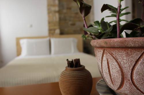 
Guesthouse Vissinokipos
