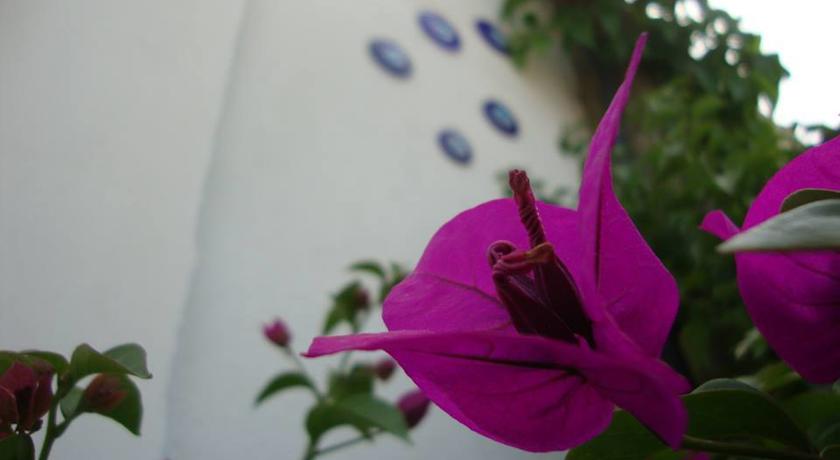 Фото 
Eden Hotel
