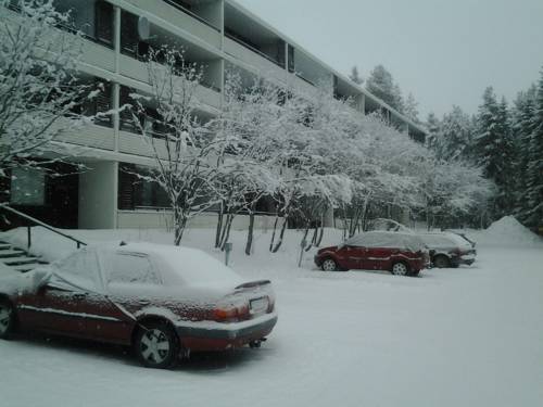 Фото 
Wilderness Hotel Papin Talo
