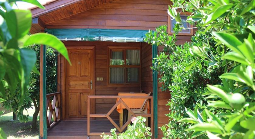 Фото 
Plaj Hotel
