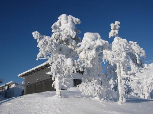 
Aalto House
