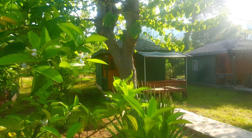 Фото 
Mehmet Pension
