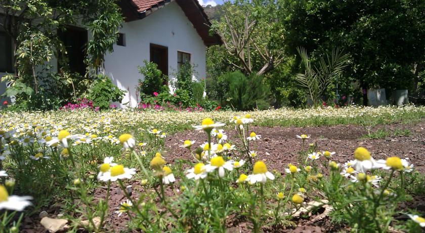 Фото 
Engin Pension
