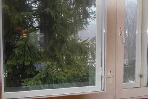 Фото 
Hotel Copacabana
