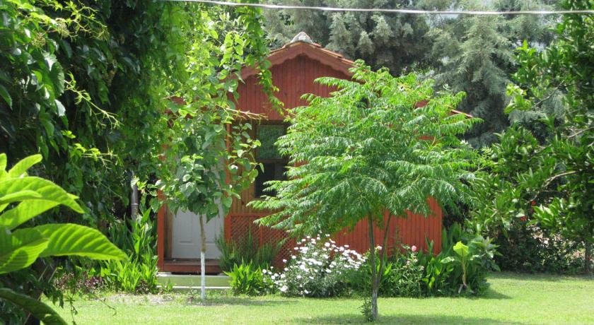 Фото 
Alibaba Pension
