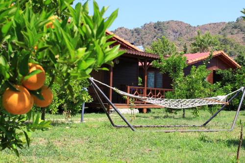 Фото 
Ikiz Villas
