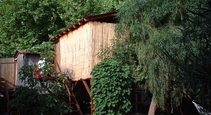 Фото 
Olympia Treehouse
