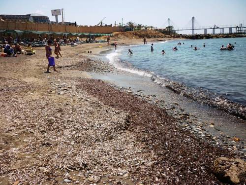 Фото 
Sahin Guest House
