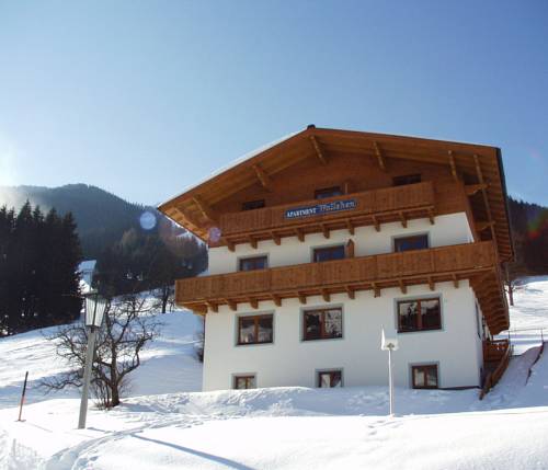 Фото 
Holiday home Ferienhaus Steiner Zell am See
