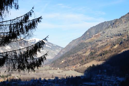 
Apartment Bad Hofgastein 2
