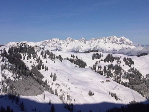 Фото 
Hotel zum schwarzen Bären
