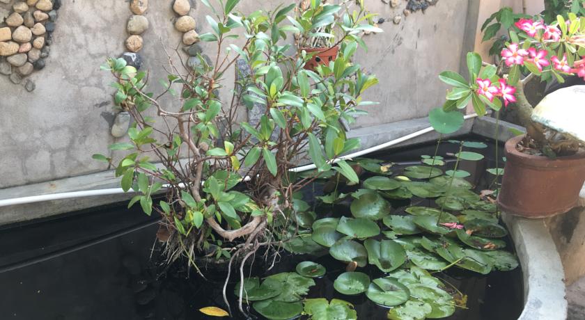 Фото 
Halong Classic Sail
