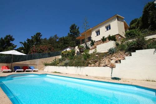 Фото 
Shine Albayzín
