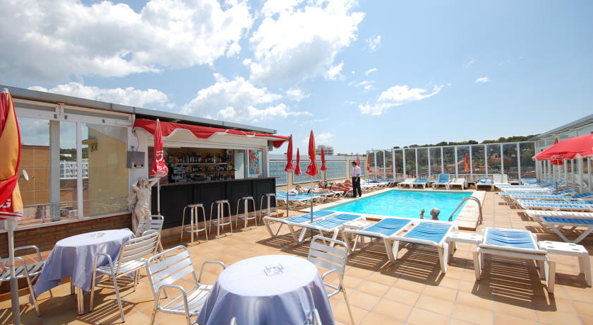 Фото 
NcH Paloma Dreams
