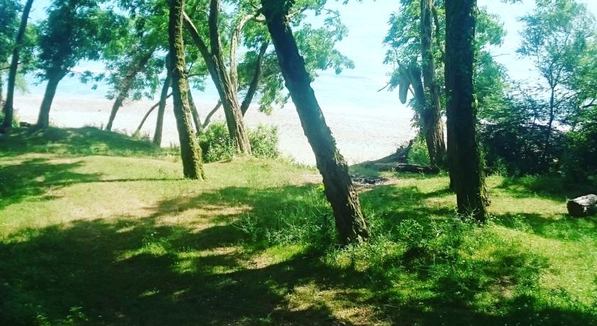 Фото 
Гостевой Дом «Амра»
