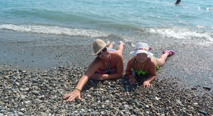 Фото 
Самшит 555
