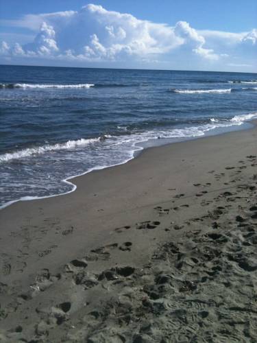 Фото 
Hôtel Le Refuge des Aiglons
