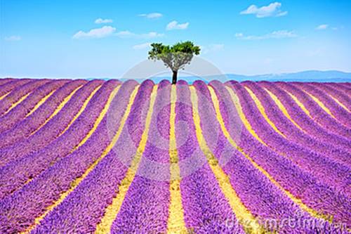 Фото 
The Home 90
