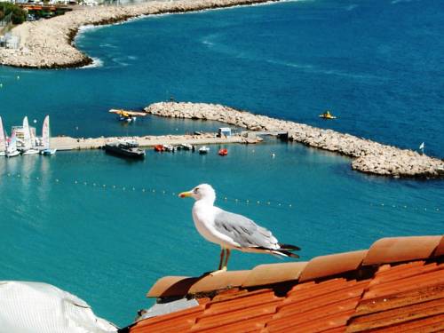 Фото 
Un Appart En Ville &quot;O Fil de l&#39;O&quot;
