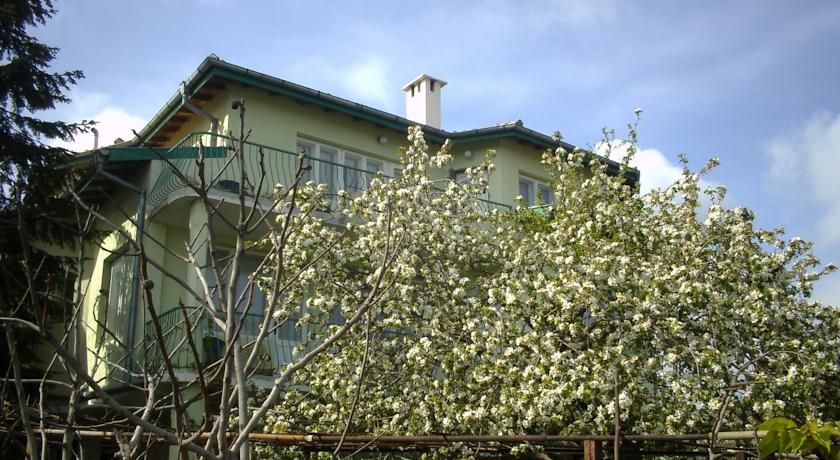 Фото 
New Town Studio
