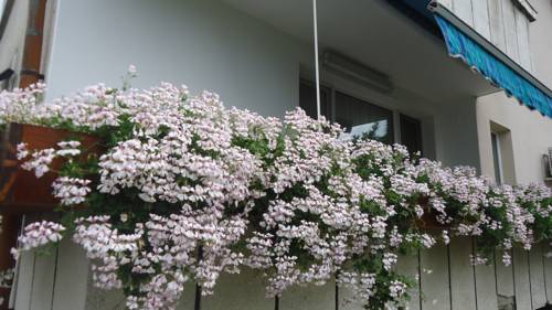 Фото 
Apartment Leonardo Davinci
