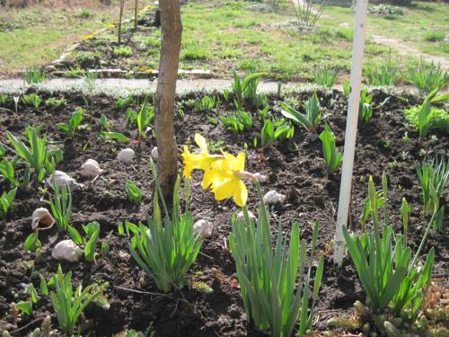 Фото 
Guest House Romantica
