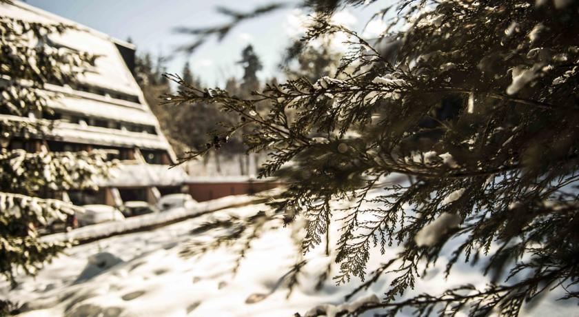 Фото 
Hotel Rozhen
