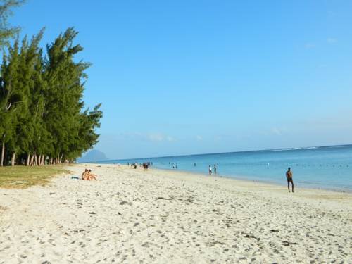 Фото 
Le Beachclub
