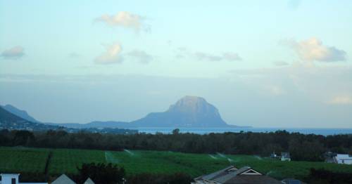 Фото 
Cosi Dolce
