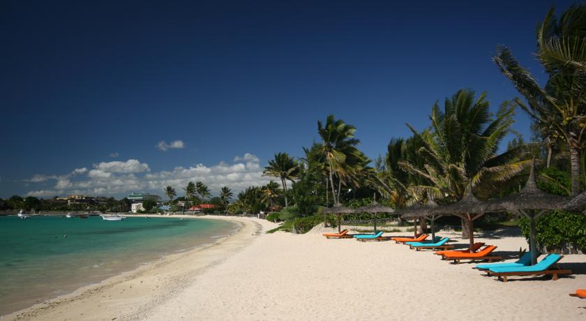 Фото 
Pingo Premium
