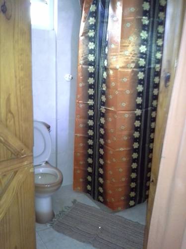 Фото 
Sous Les palmiers
