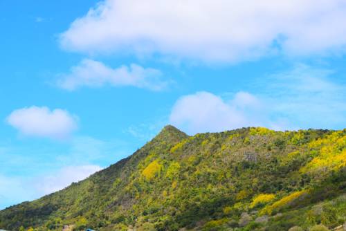 Фото 
Auberge Le Saladier
