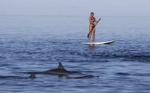 Фото 
Villa Le Chapo
